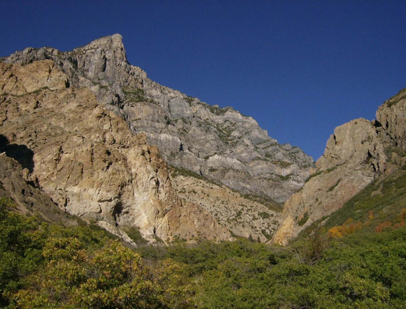 Rugged mountain peaks under a clear blue sky, with lush green foliage in the foreground.