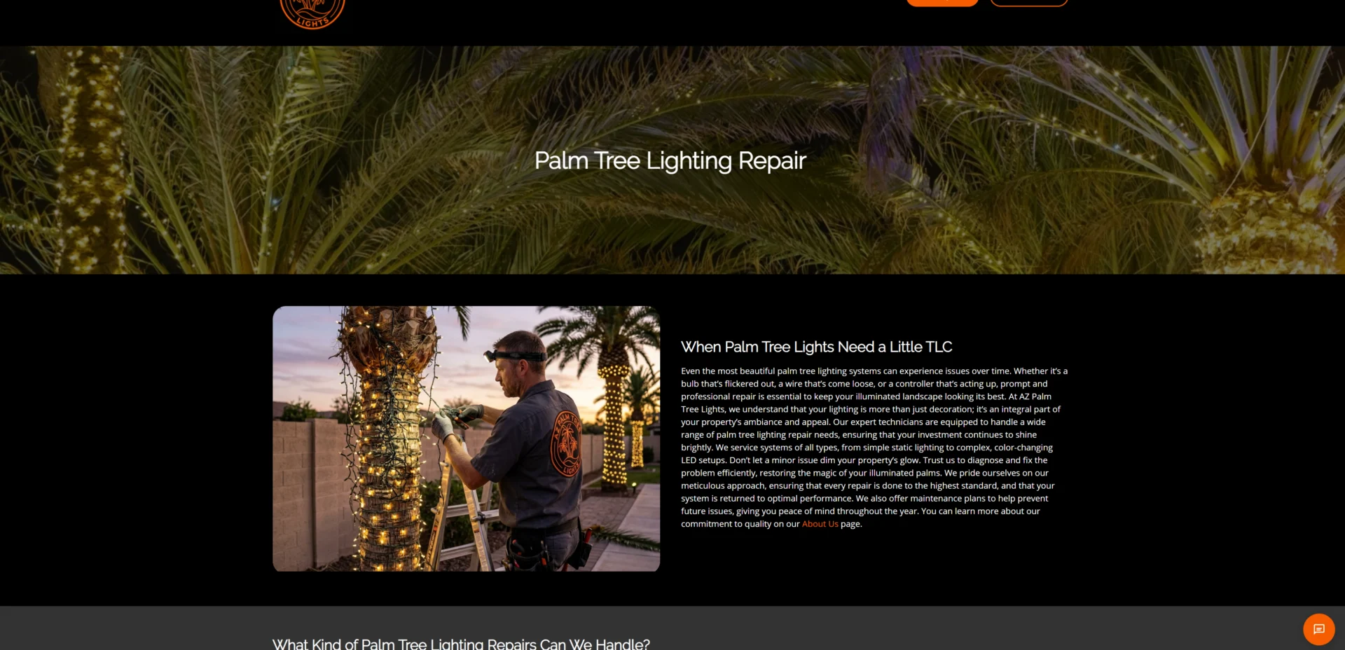Technician repairing palm tree lights in Arizona